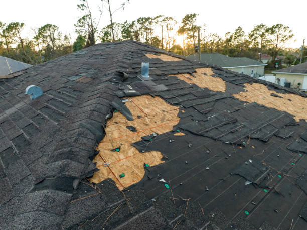 Best Metal Roofing Installation  in Lake Wales, FL