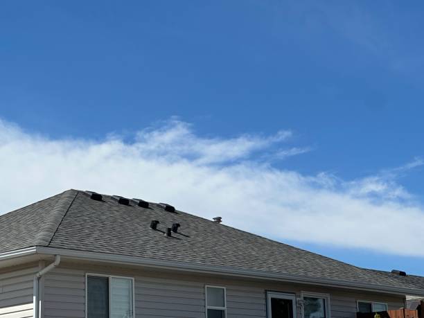 Best Roof Leak Repair  in Lake Wales, FL